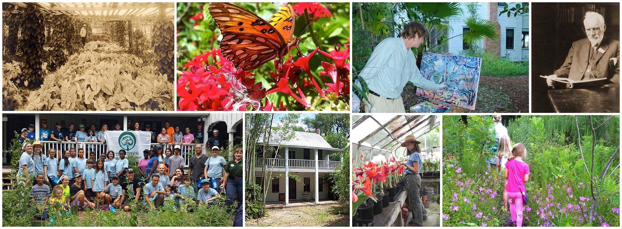 Henry Nehrling's Palm Cottage Gardens