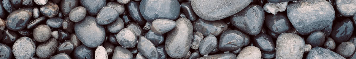 Food Safety Blog 6 washing hands