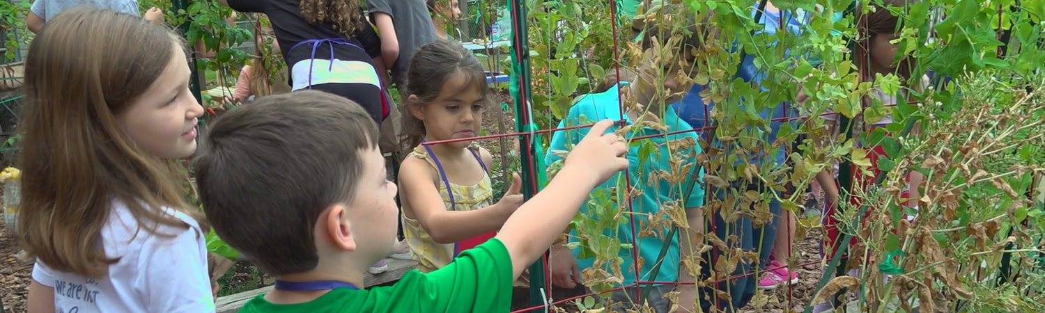 Children in garden