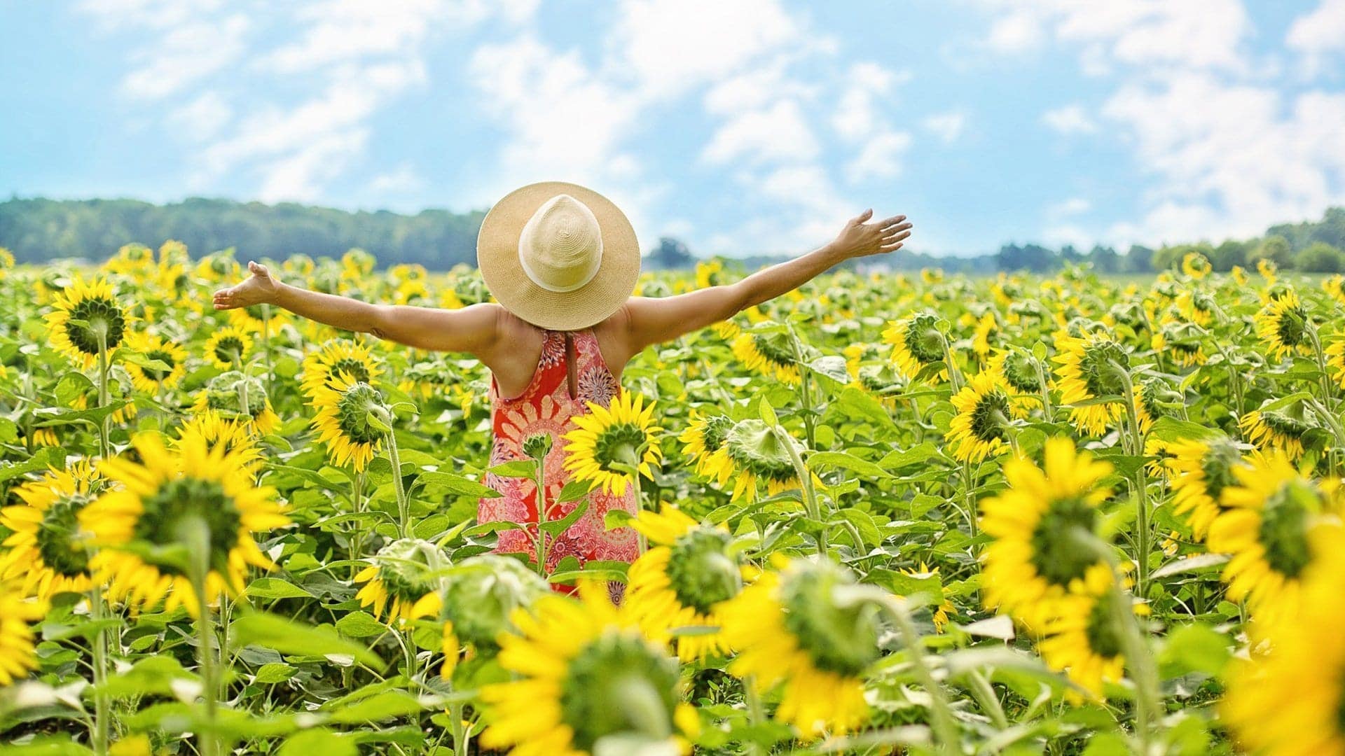 woman outside in sunflower field