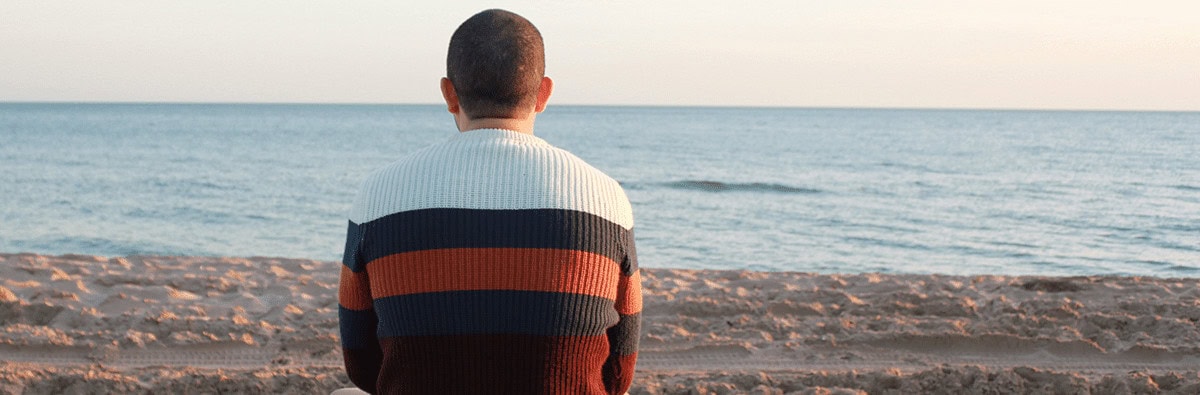 Beary Banner westly banner