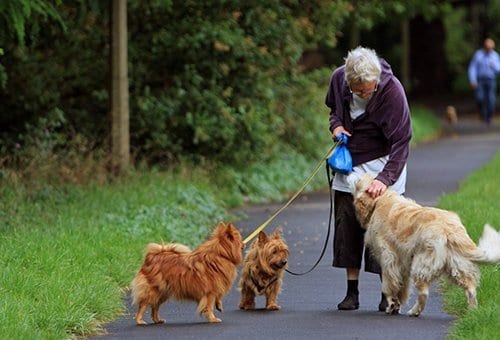 GROUP-YOGA-Flyer-01-1-scaled