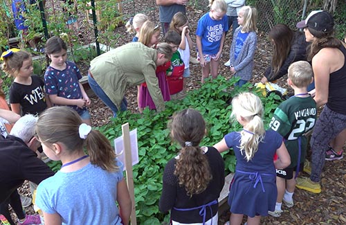 Children Gardening