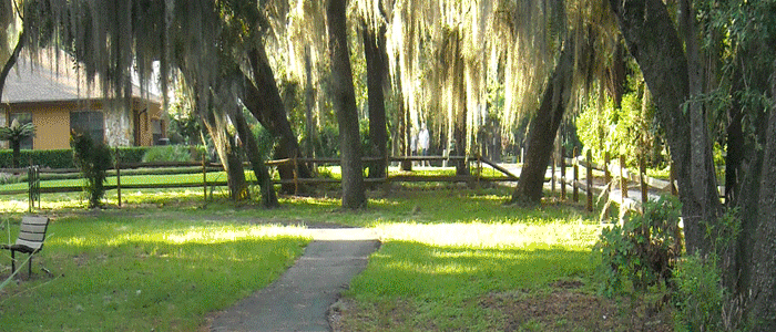 park